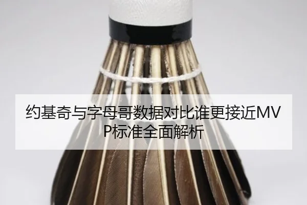 约基奇与字母哥数据对比谁更接近MVP标准全面解析